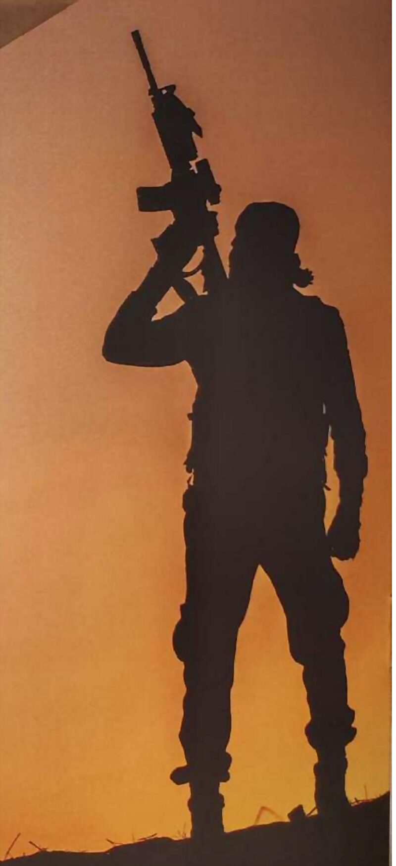 A soldier silhouetted against a sunset